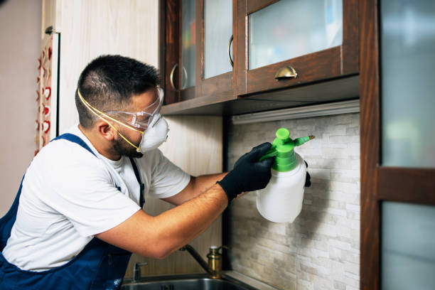 Reliable Fox Chase, PA Pest Control Solutions