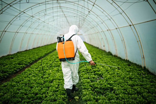 Pest Prevention Services in Fox Chase, PA