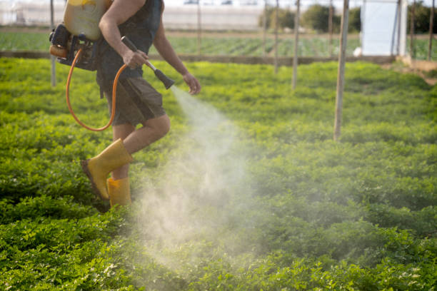Best Pest Control for Restaurants  in Fox Chase, PA
